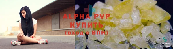 Альфа ПВП Няндома